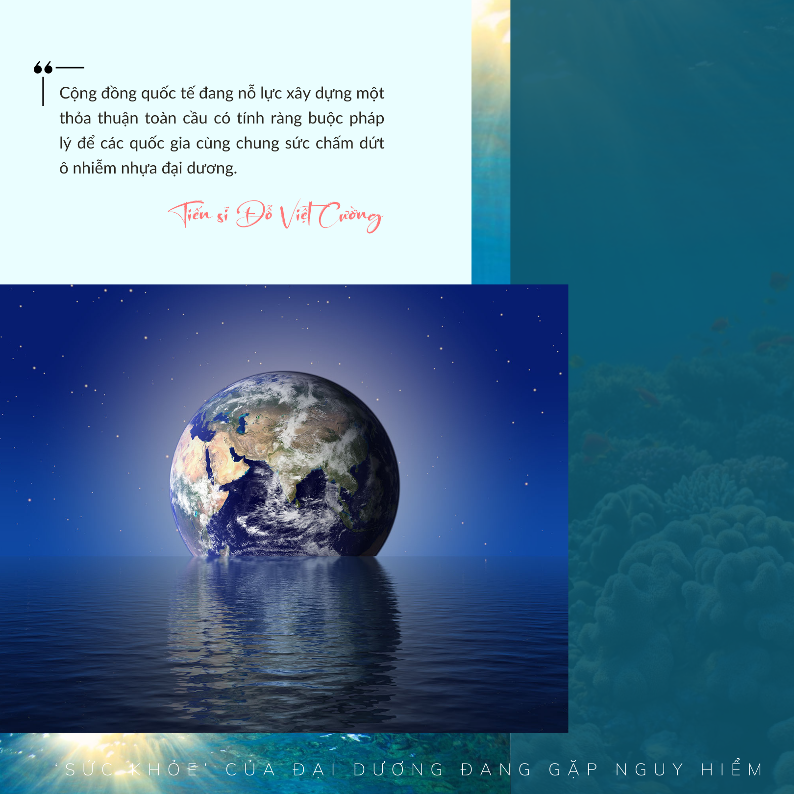 ‘Sức khỏe’ đại dương đang gặp nguy hiểm - Bài 3: Đại dương chỉ có thể hồi sinh từ sự đoàn kết ảnh 4