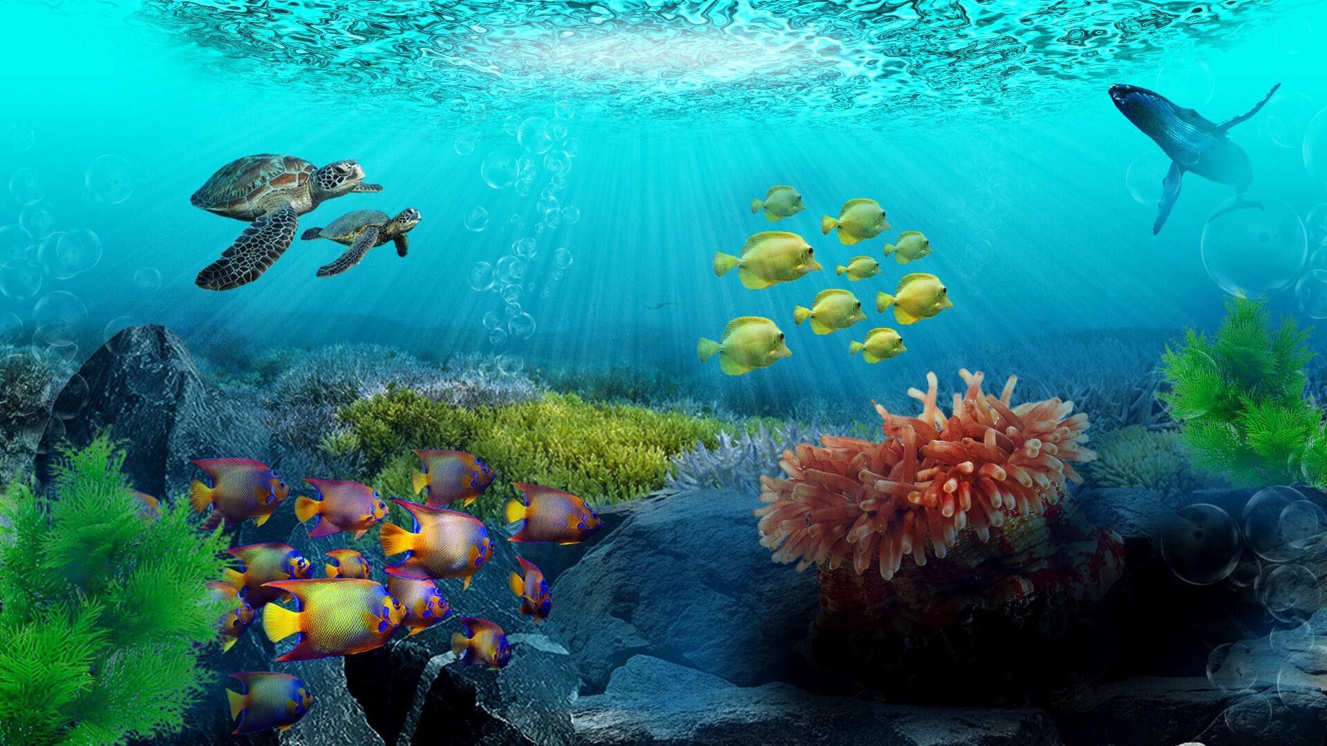 ‘Sức khỏe’ đại dương đang gặp nguy hiểm - Bài 4: Cần nâng cao giám sát thực hiện ảnh 1