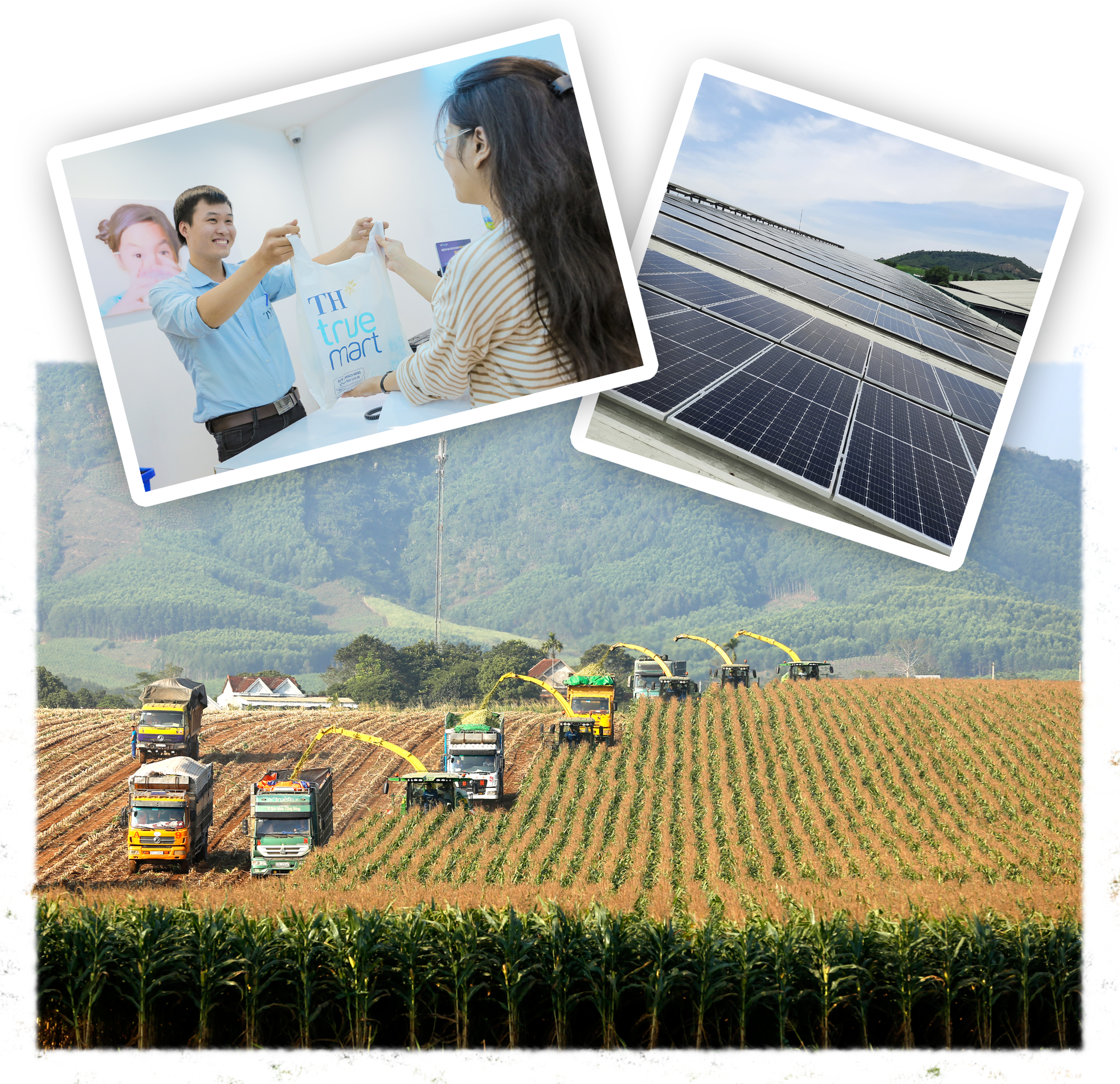 TH true MILK vào Top Doanh nghiệp bền vững 2022 ảnh 4