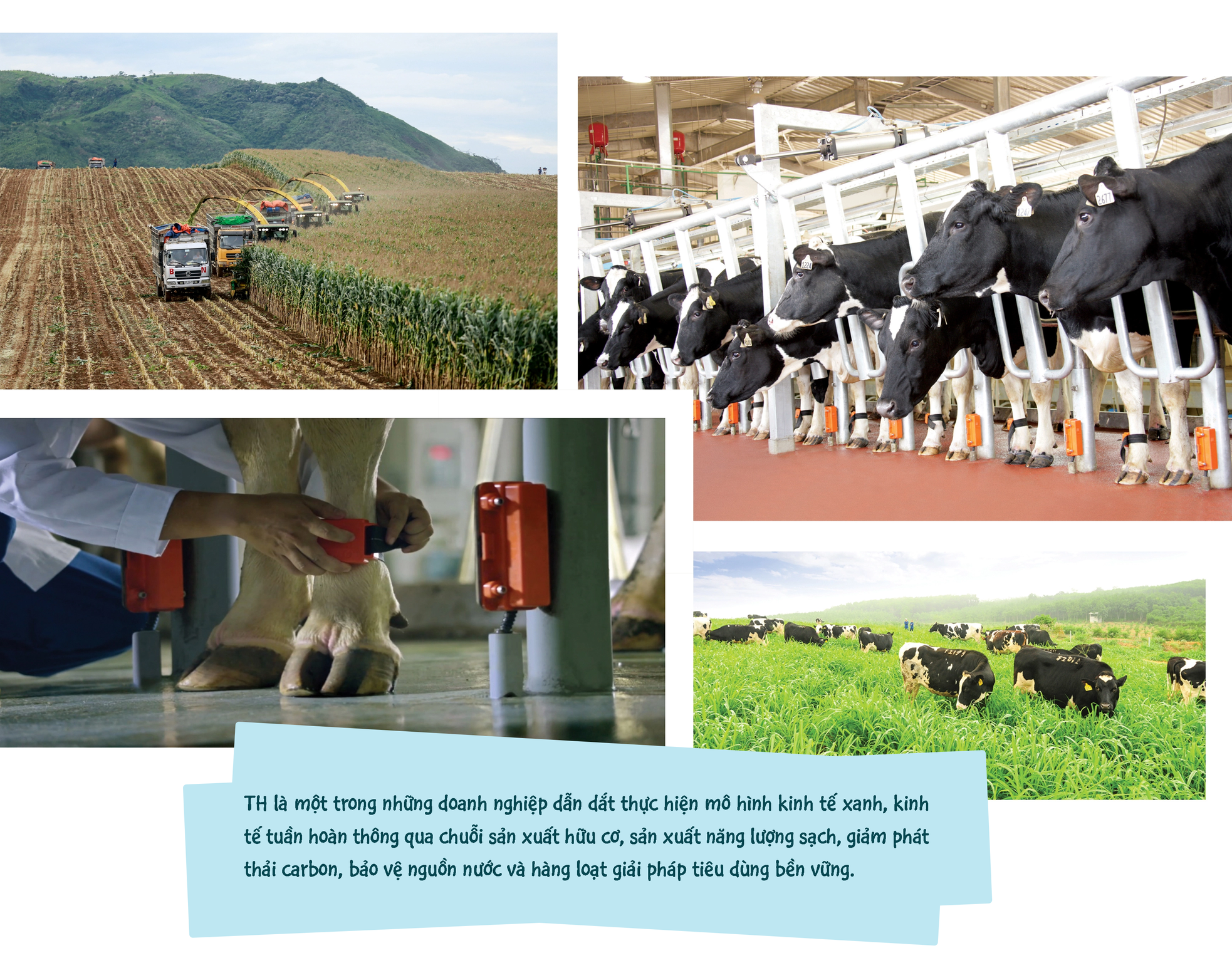 TH true MILK vào Top Doanh nghiệp bền vững 2022 ảnh 6