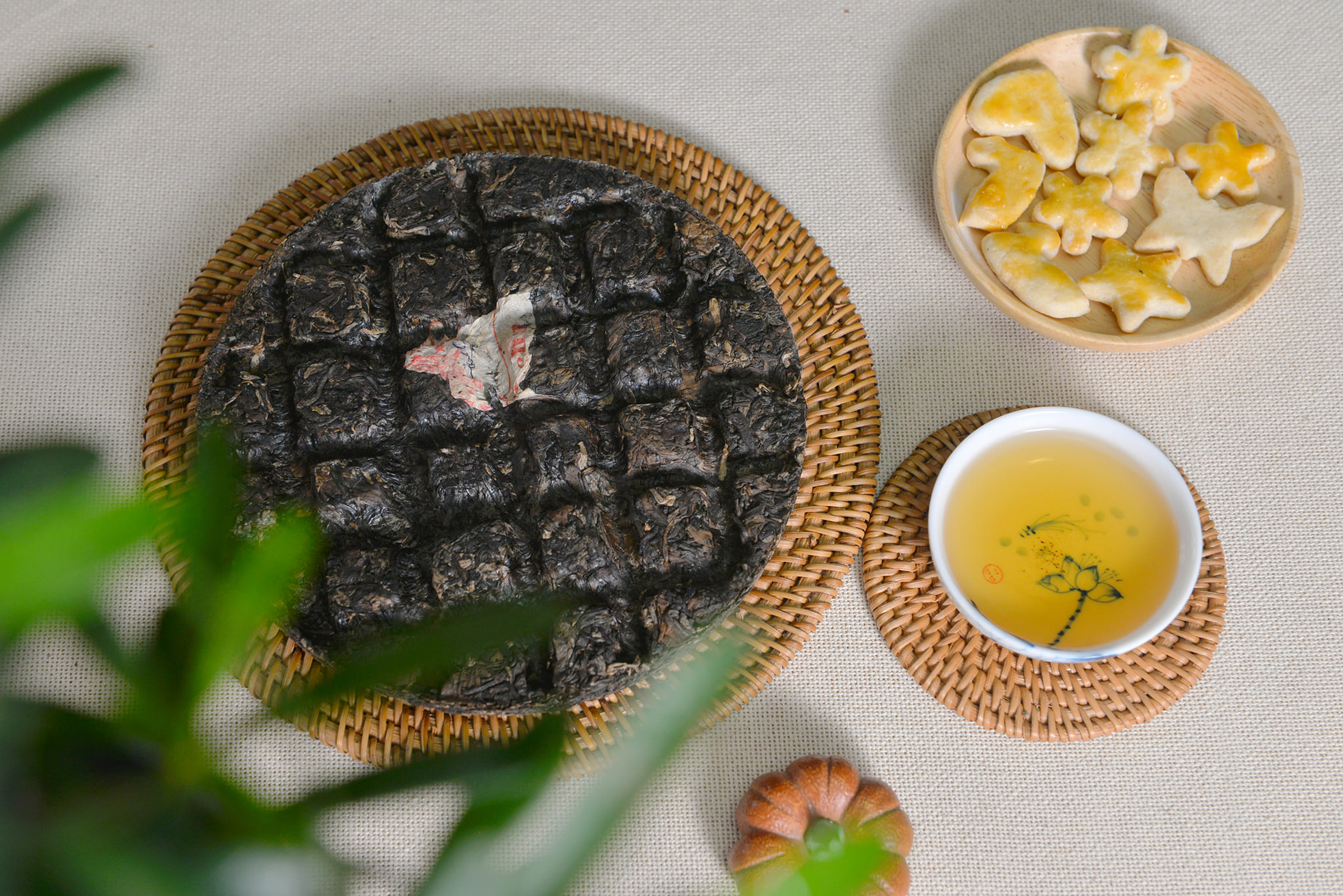 Chọn trà ngon cho tròn vị Tết ảnh 5