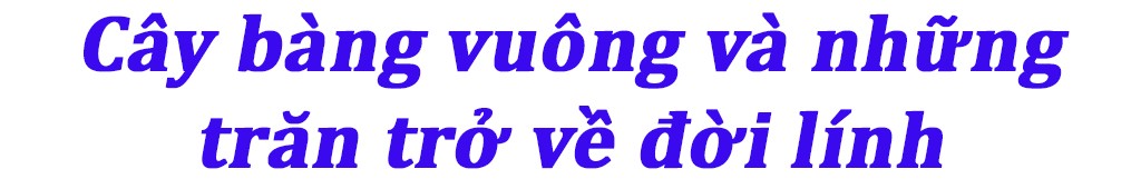 '10 ngày trên biển' - Mượn chuyện đảo xa nói về đất liền ảnh 6