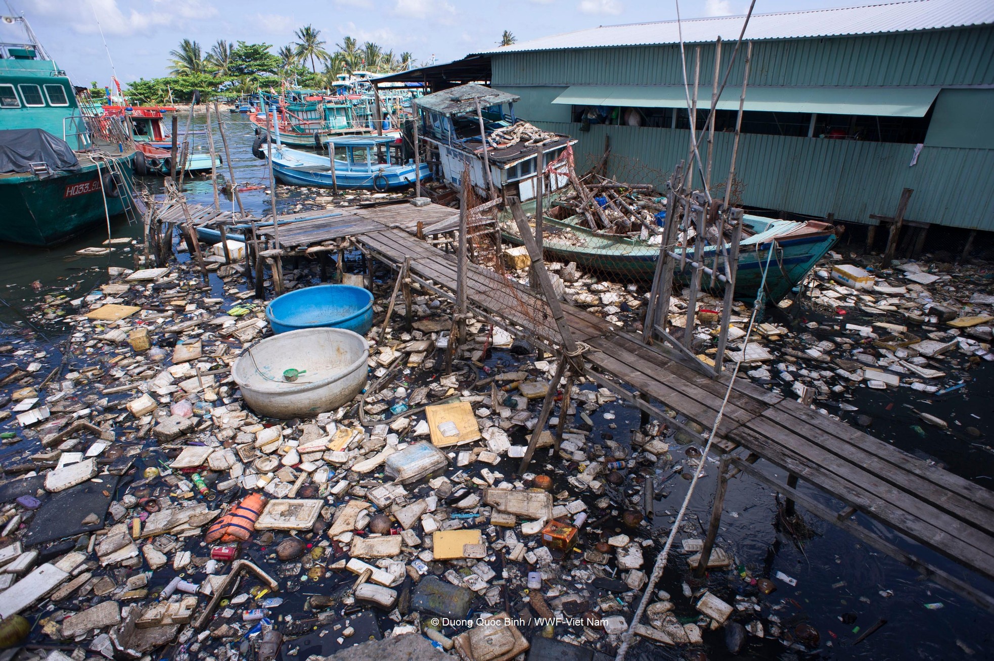 WFF kêu gọi cắt giảm sử dụng rác thải nhựa ảnh 4