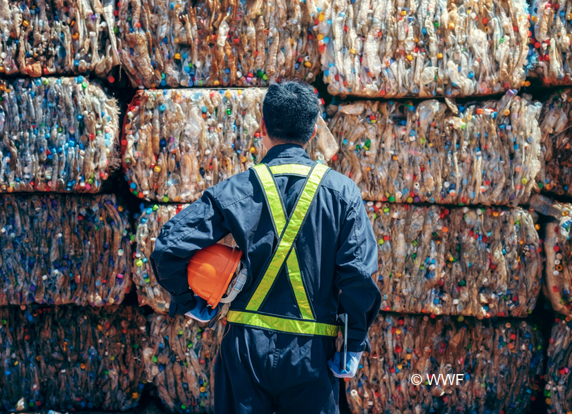 WFF kêu gọi cắt giảm sử dụng rác thải nhựa ảnh 1