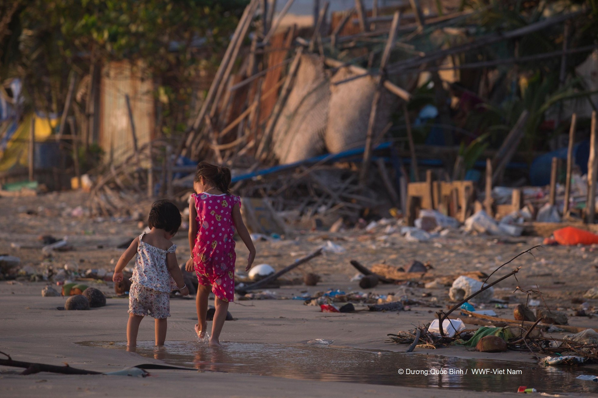 WFF kêu gọi cắt giảm sử dụng rác thải nhựa ảnh 6