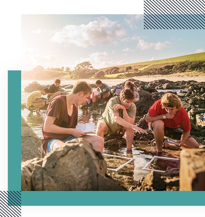 Long-form: Cách mạng giáo dục ở đường chân trời ảnh 16