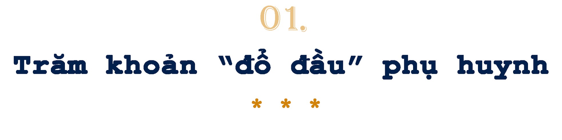 Khi gánh nặng giáo dục đè lên vai phụ huynh ảnh 3