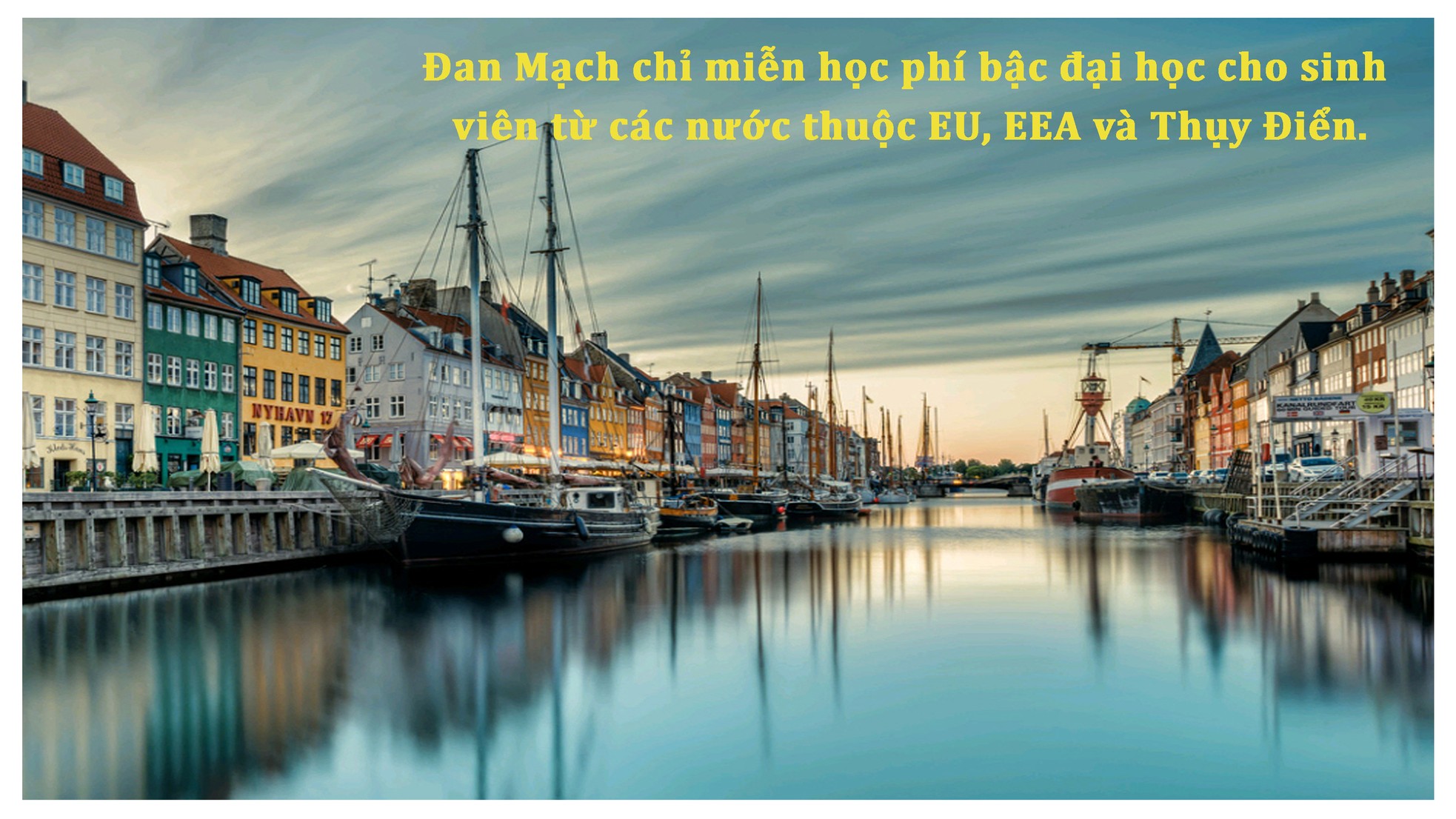 Học phí thấp không tưởng tại các trường đại học châu Âu ảnh 5