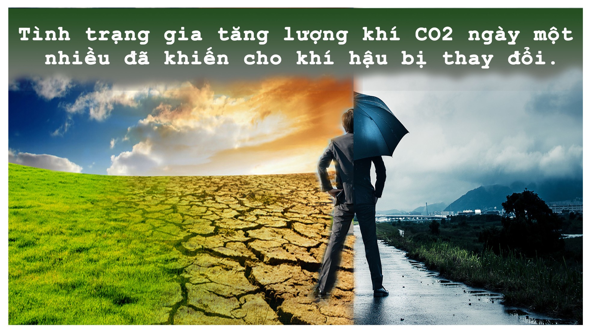 5 mối đe dọa lớn nhất với môi trường ảnh 5