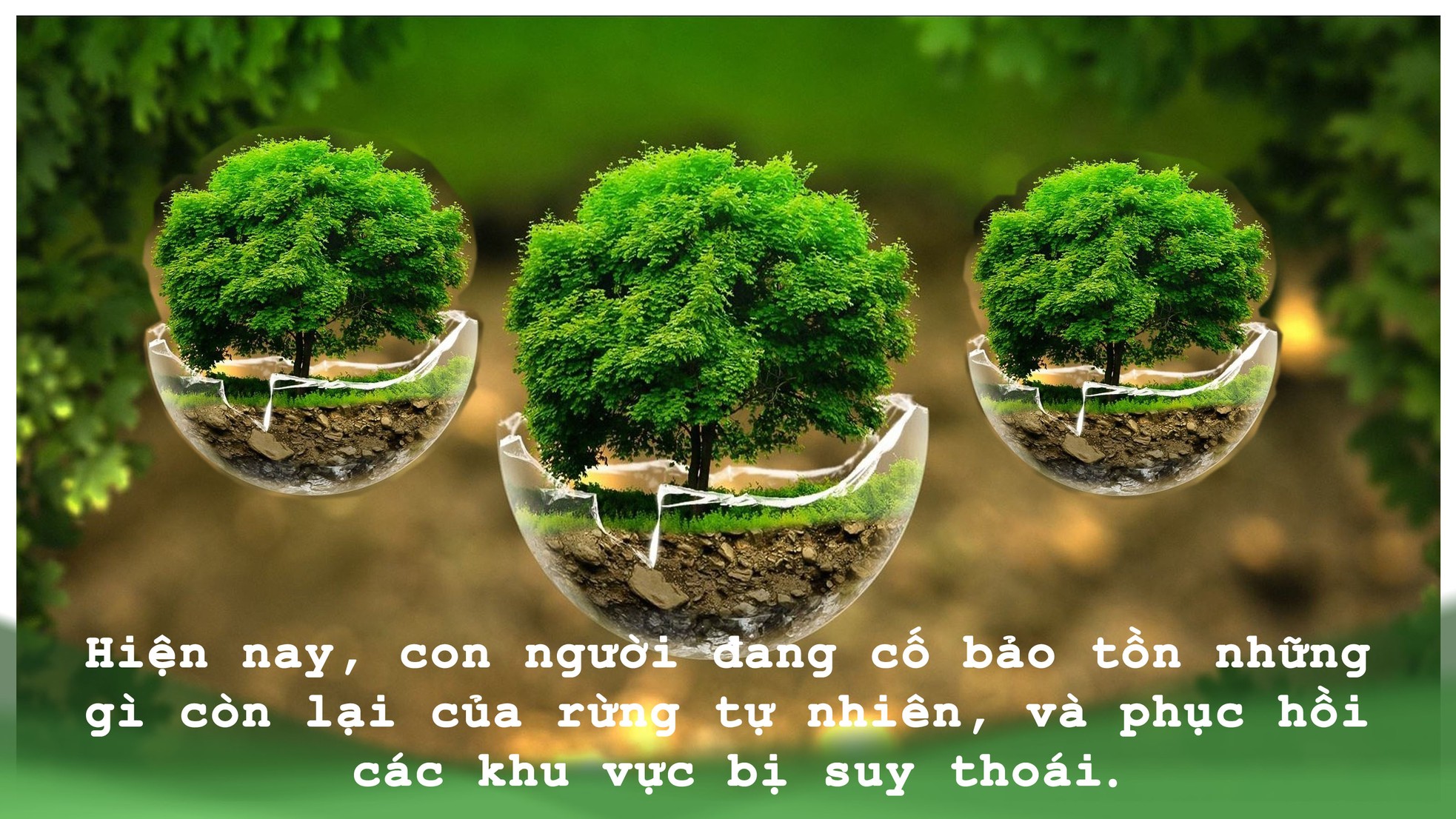 5 mối đe dọa lớn nhất với môi trường ảnh 7