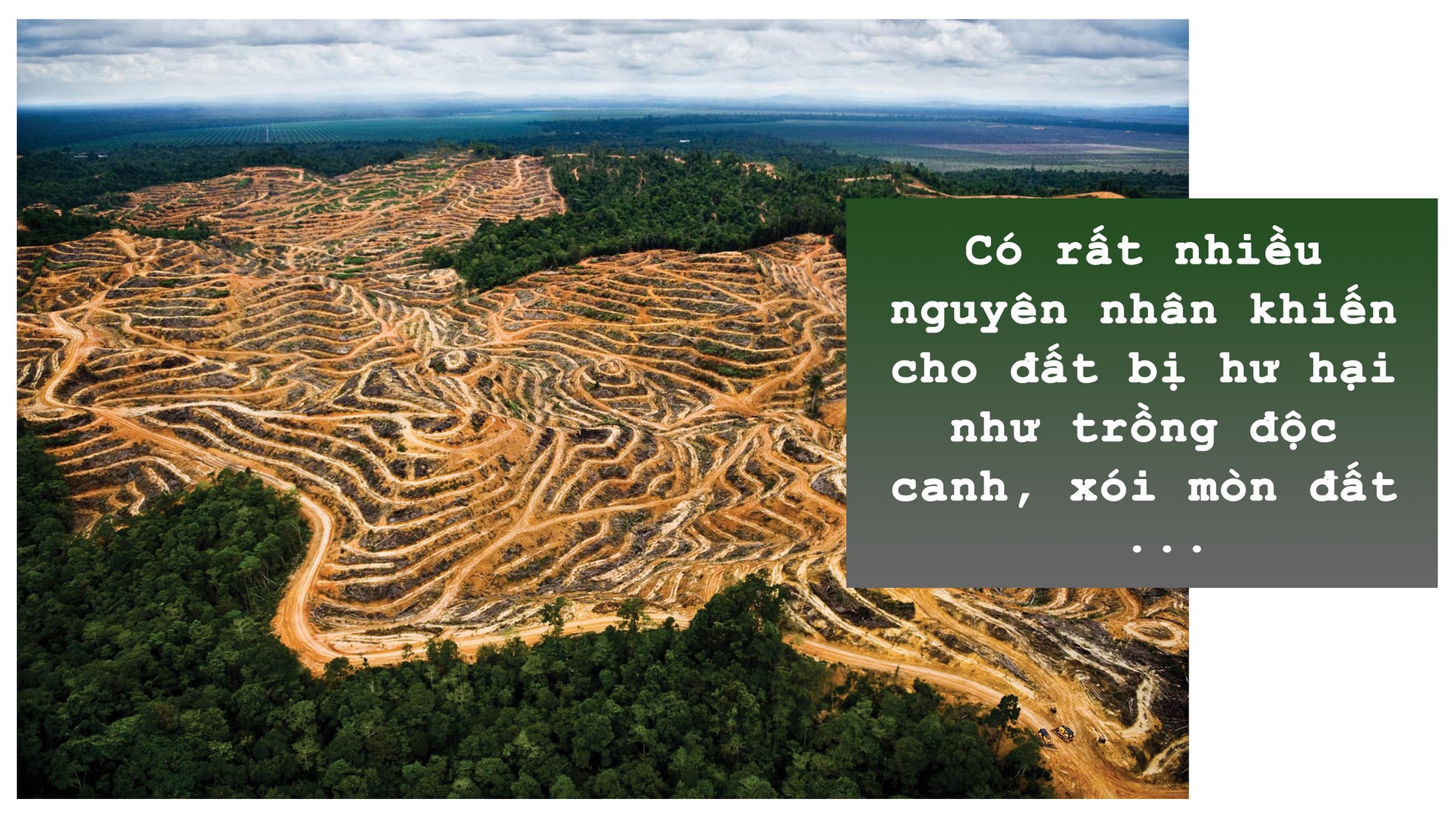 5 mối đe dọa lớn nhất với môi trường ảnh 11