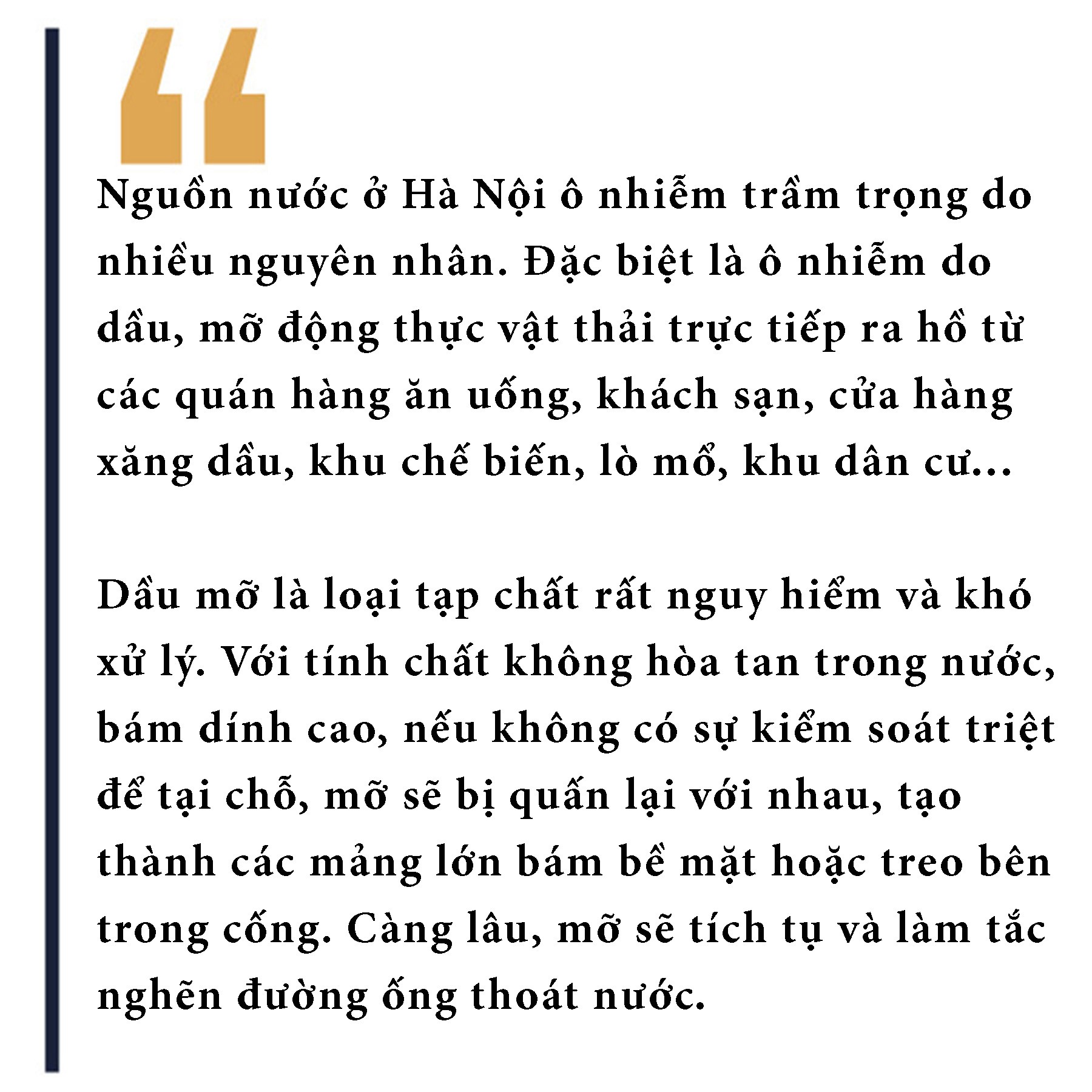 Giật mình sông hồ thành... vũng nước thải ảnh 9