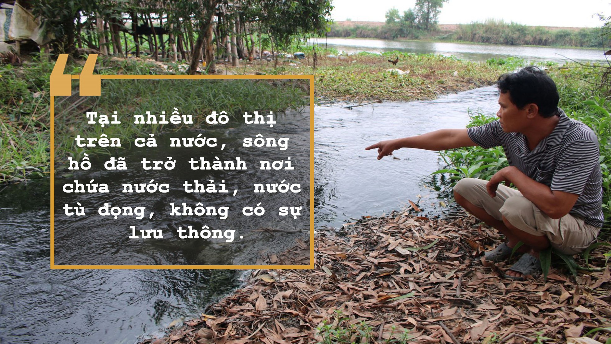 Giật mình sông hồ thành... vũng nước thải ảnh 8