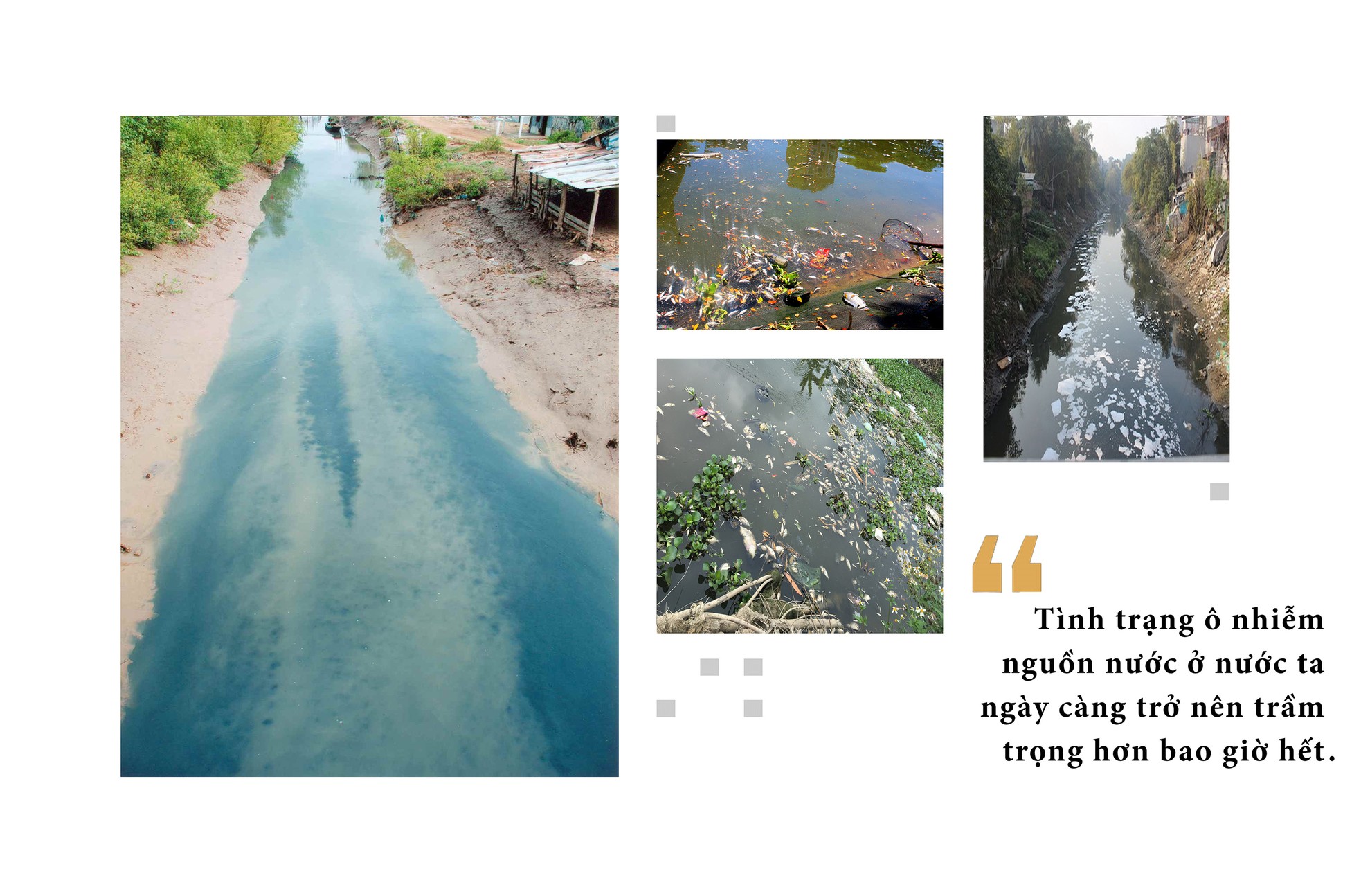 Giật mình sông hồ thành... vũng nước thải ảnh 11