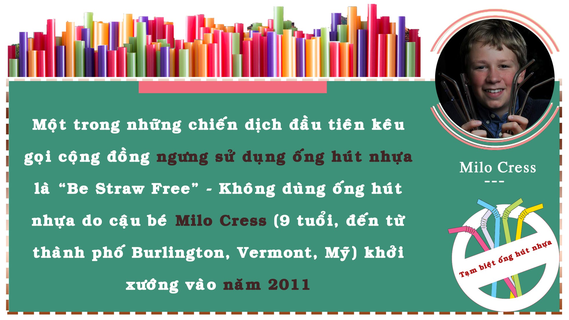 Tạm biệt ống hút nhựa ảnh 7