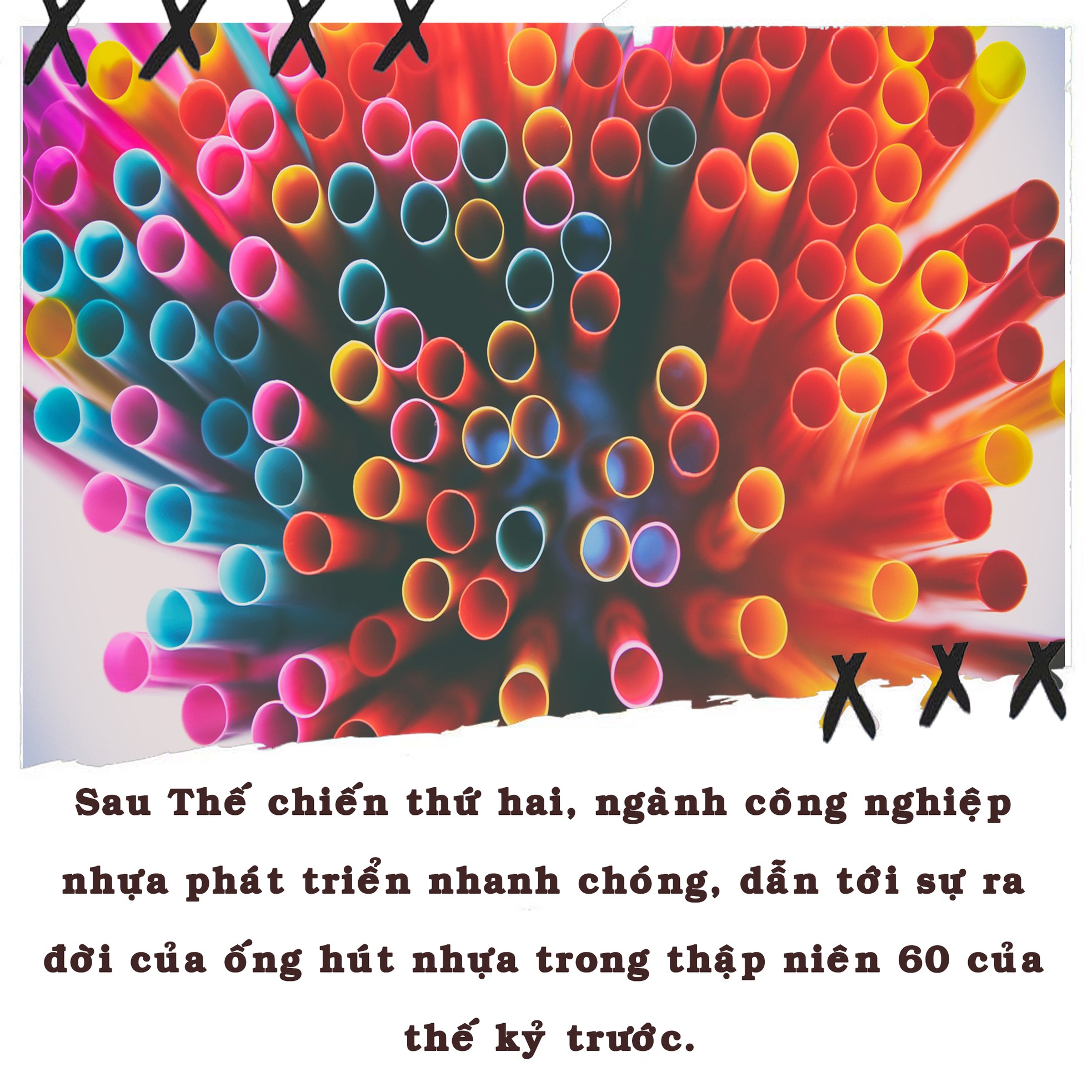 Tạm biệt ống hút nhựa ảnh 3