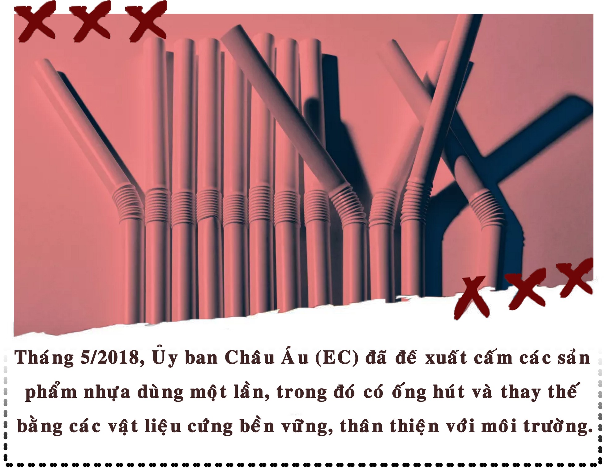 Tạm biệt ống hút nhựa ảnh 9