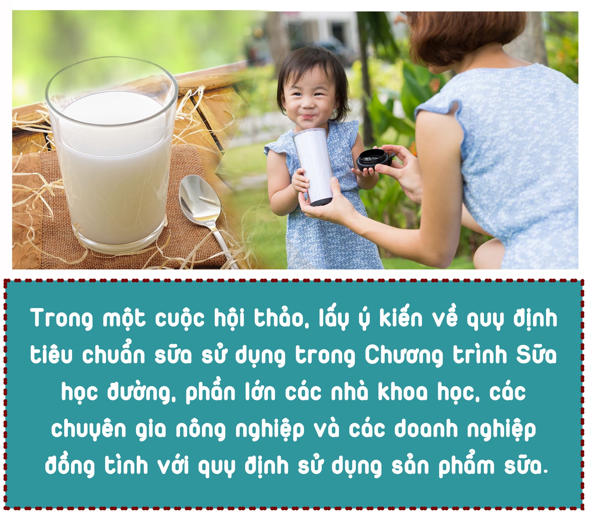Sữa học đường hiểu sao cho đúng? ảnh 8