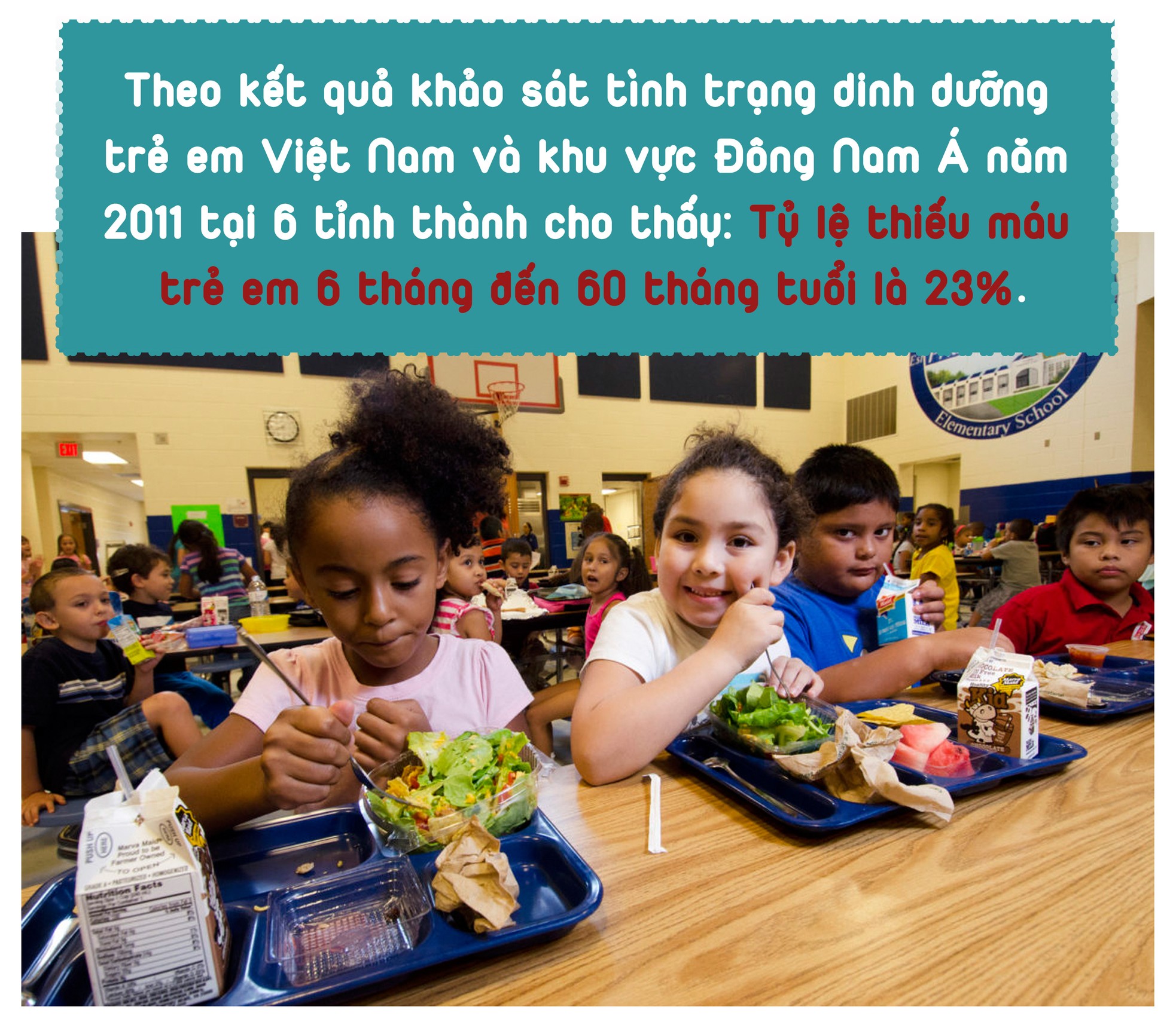 Sữa học đường hiểu sao cho đúng? ảnh 13