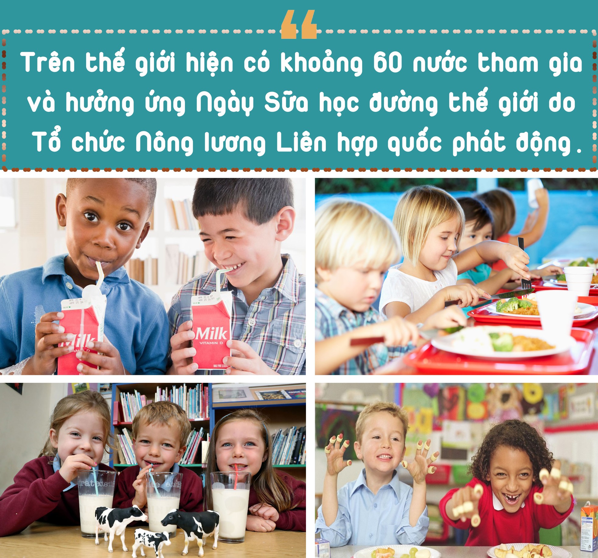 Sữa học đường hiểu sao cho đúng? ảnh 6