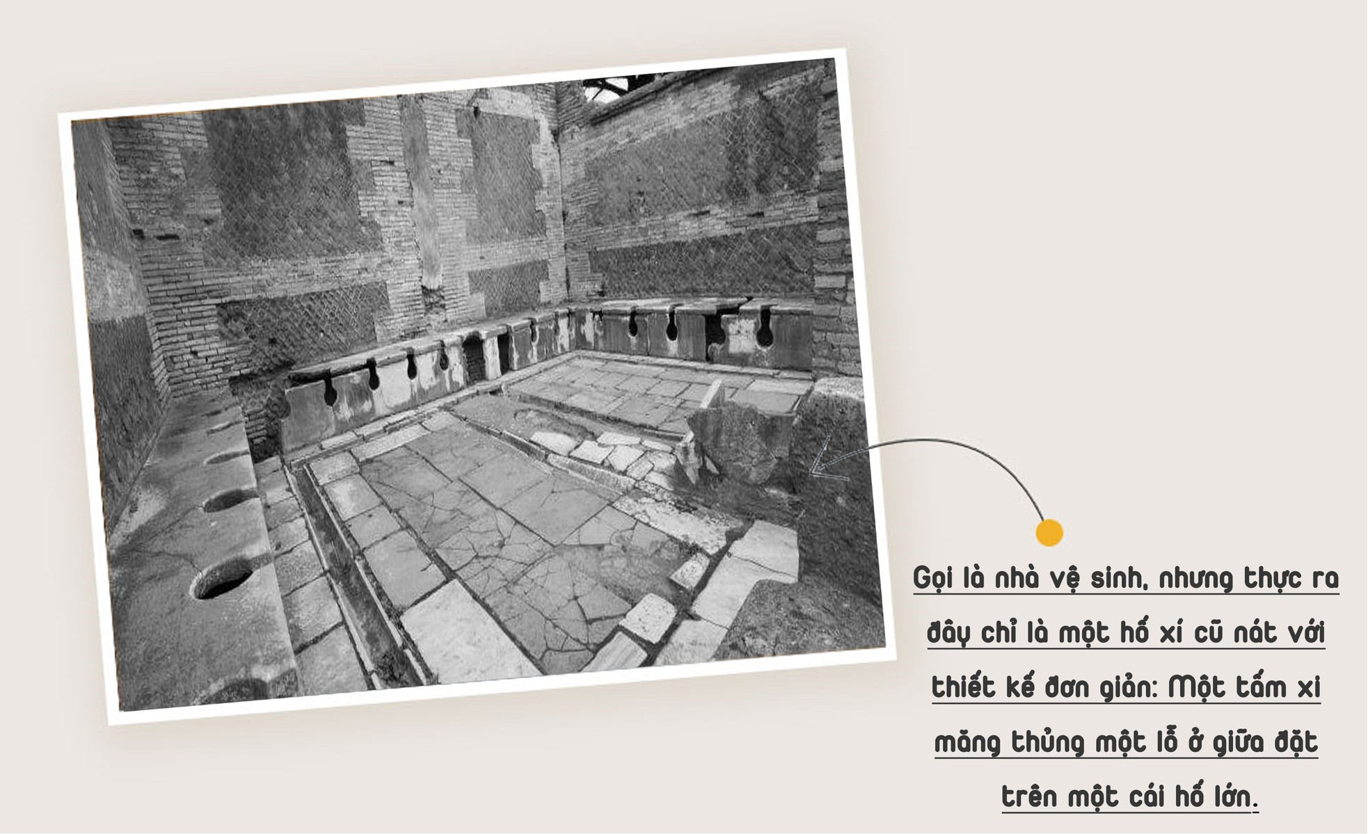 Thảm kịch nhà vệ sinh trường học ảnh 3