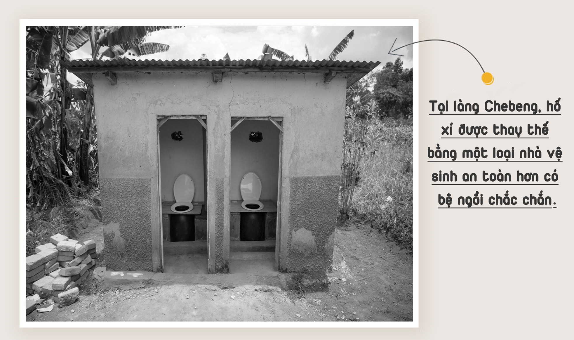 Thảm kịch nhà vệ sinh trường học ảnh 8