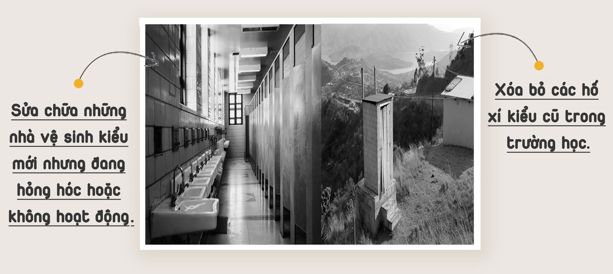 Thảm kịch nhà vệ sinh trường học ảnh 11