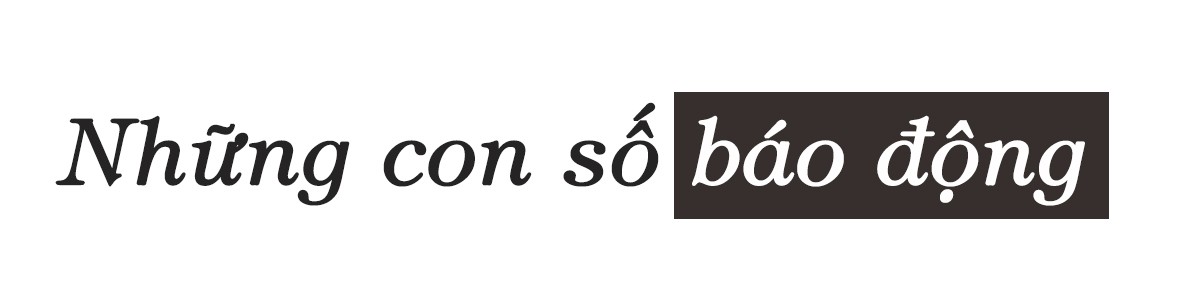 Không chỉ là vấn đề thẩm mỹ ảnh 4