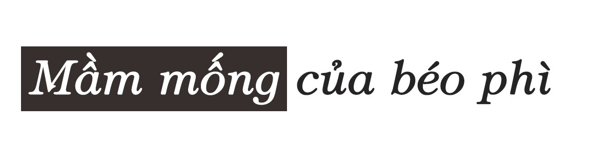 Không chỉ là vấn đề thẩm mỹ ảnh 6