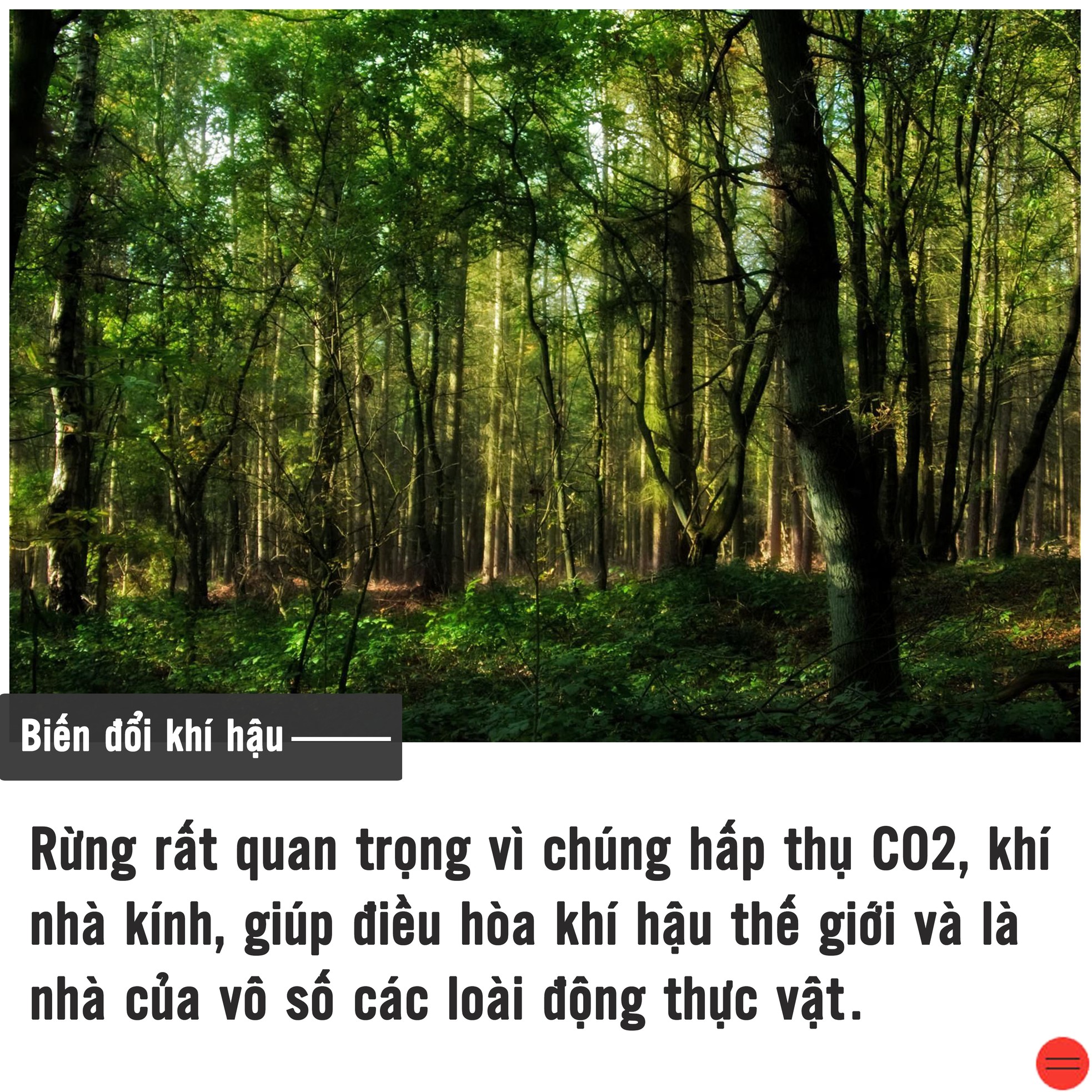 Biến đổi khí hậu đang tàn phá Trái Đất ảnh 9