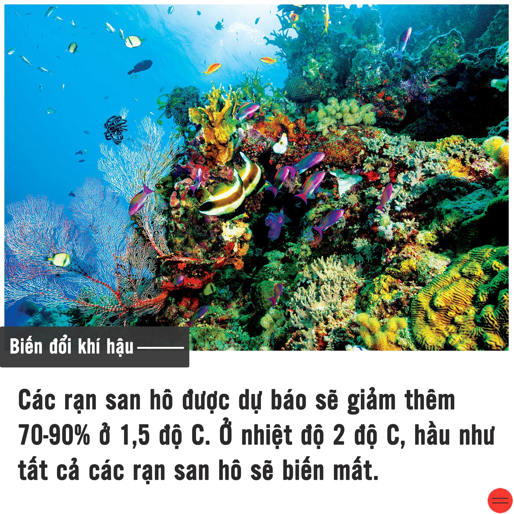 Biến đổi khí hậu đang tàn phá Trái Đất ảnh 7