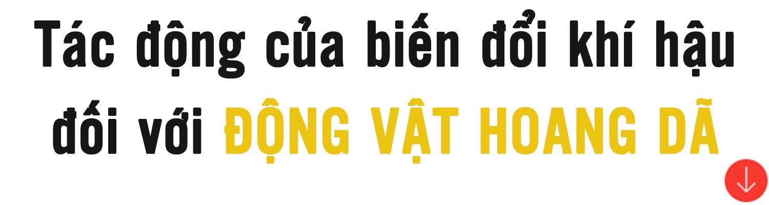 Biến đổi khí hậu đang tàn phá Trái Đất ảnh 2