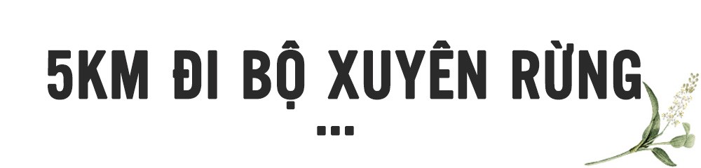 Về Bầu Sấu ăn cơm cá nghe chim gọi bầy ảnh 4