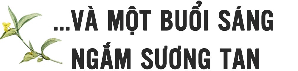 Về Bầu Sấu ăn cơm cá nghe chim gọi bầy ảnh 6