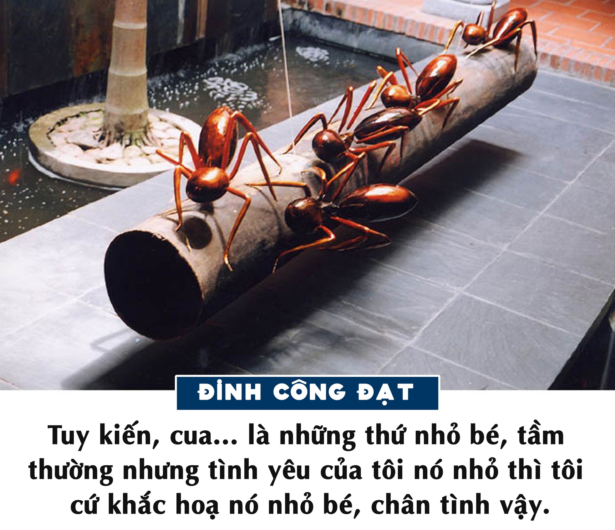Đinh Công Đạt người thợ làm đẹp tháng năm ảnh 3