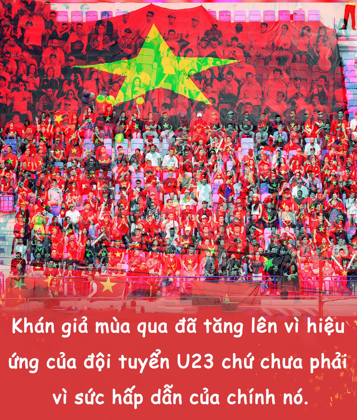 Để những đỉnh cao tiếp nối đỉnh cao ảnh 4