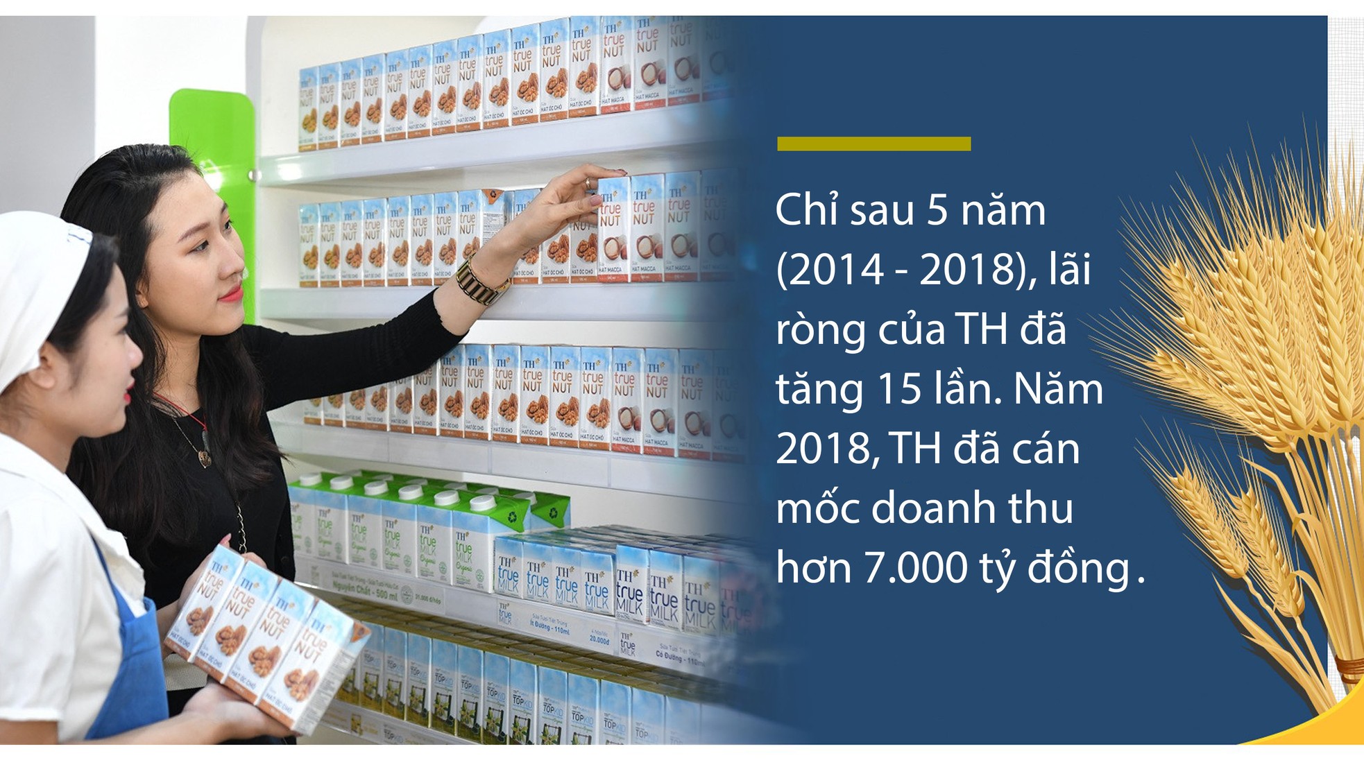 Lãi ròng của TH true MILK tăng 15 lần chỉ trong 5 năm ảnh 5