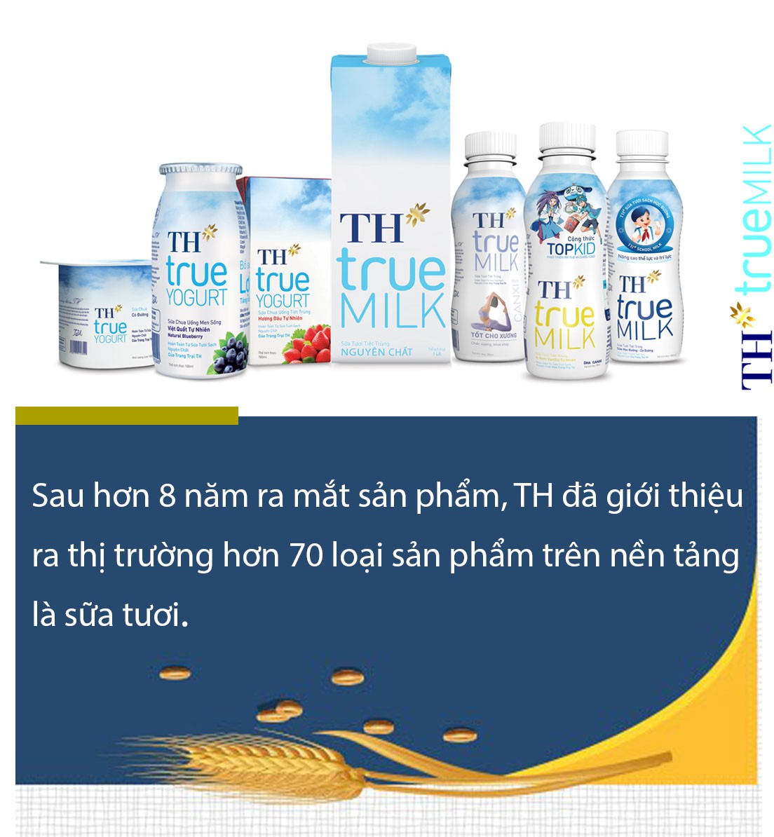 Lãi ròng của TH true MILK tăng 15 lần chỉ trong 5 năm ảnh 4