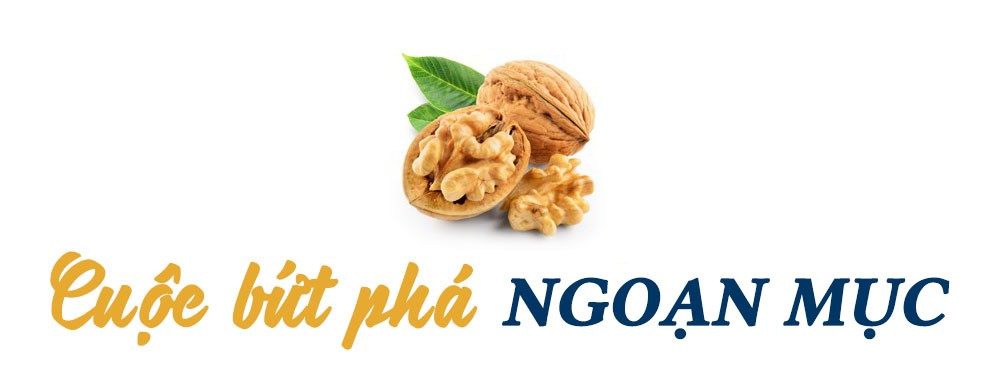 Lãi ròng của TH true MILK tăng 15 lần chỉ trong 5 năm ảnh 2