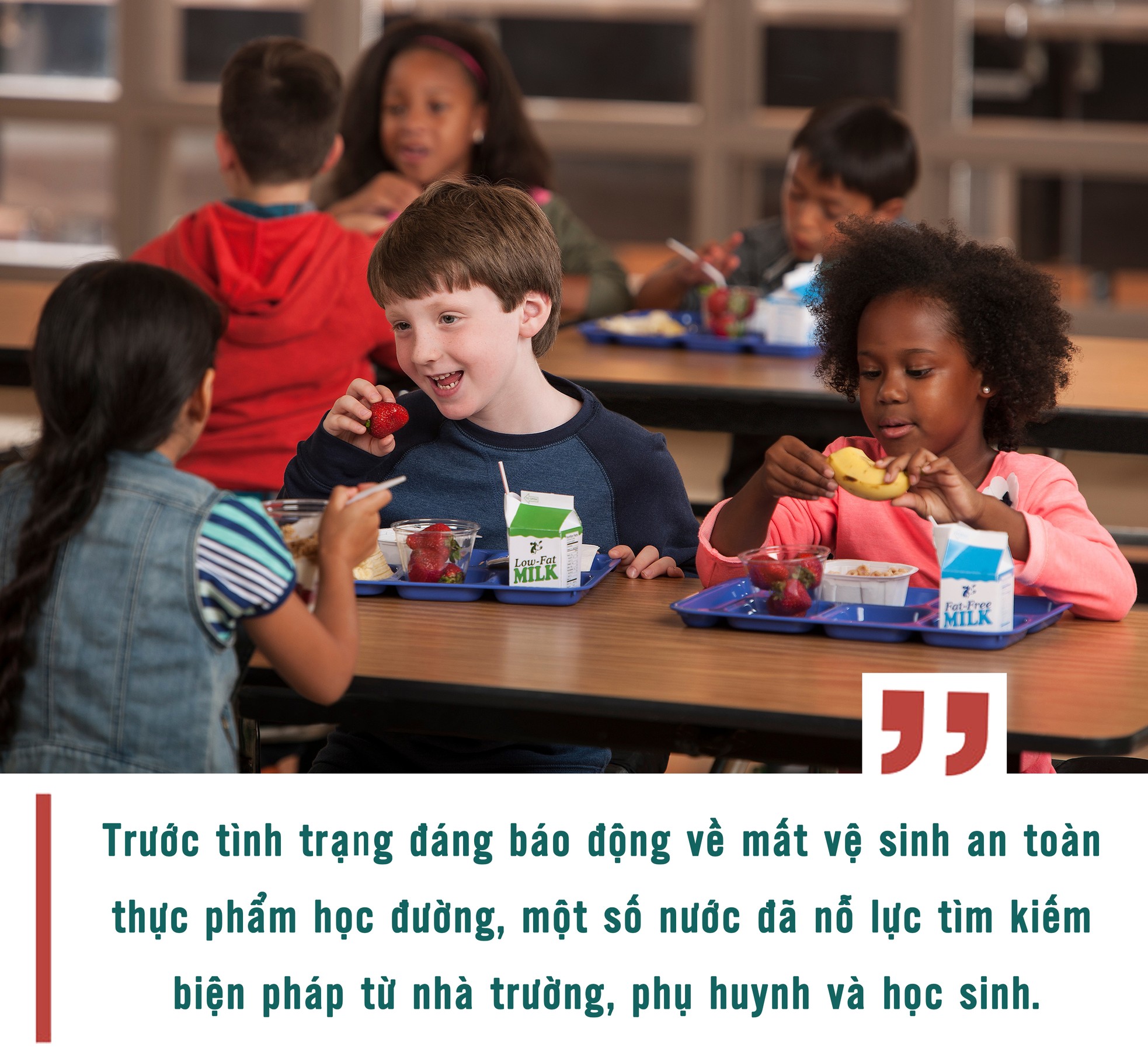 Giữ cho 'mầm xanh' khỏe mạnh ảnh 5