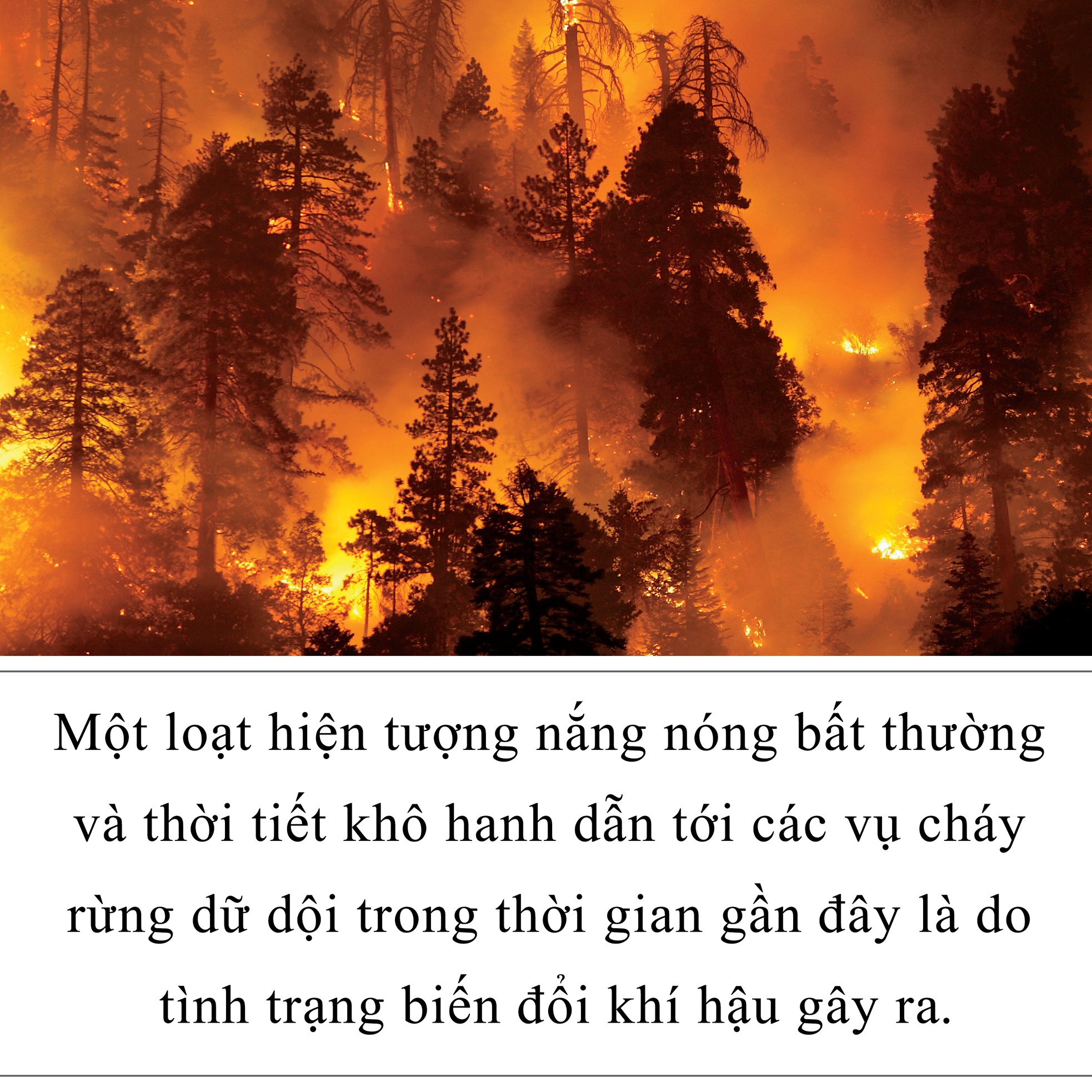 Dùng công nghệ chống lại biến đổi khí hậu ảnh 2