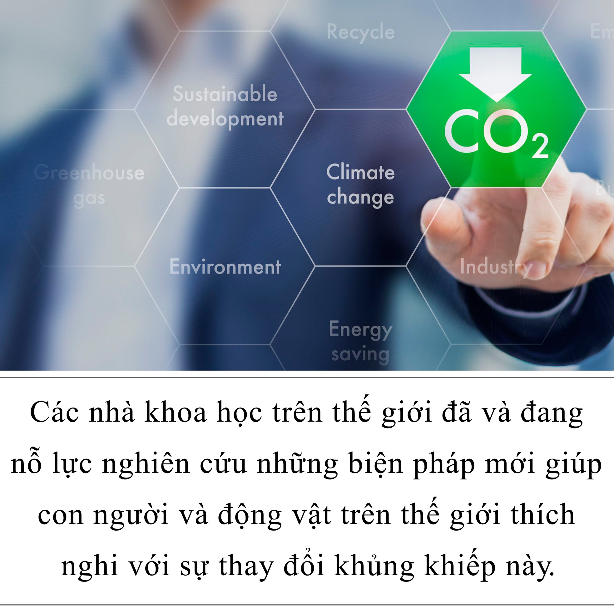 Dùng công nghệ chống lại biến đổi khí hậu ảnh 5