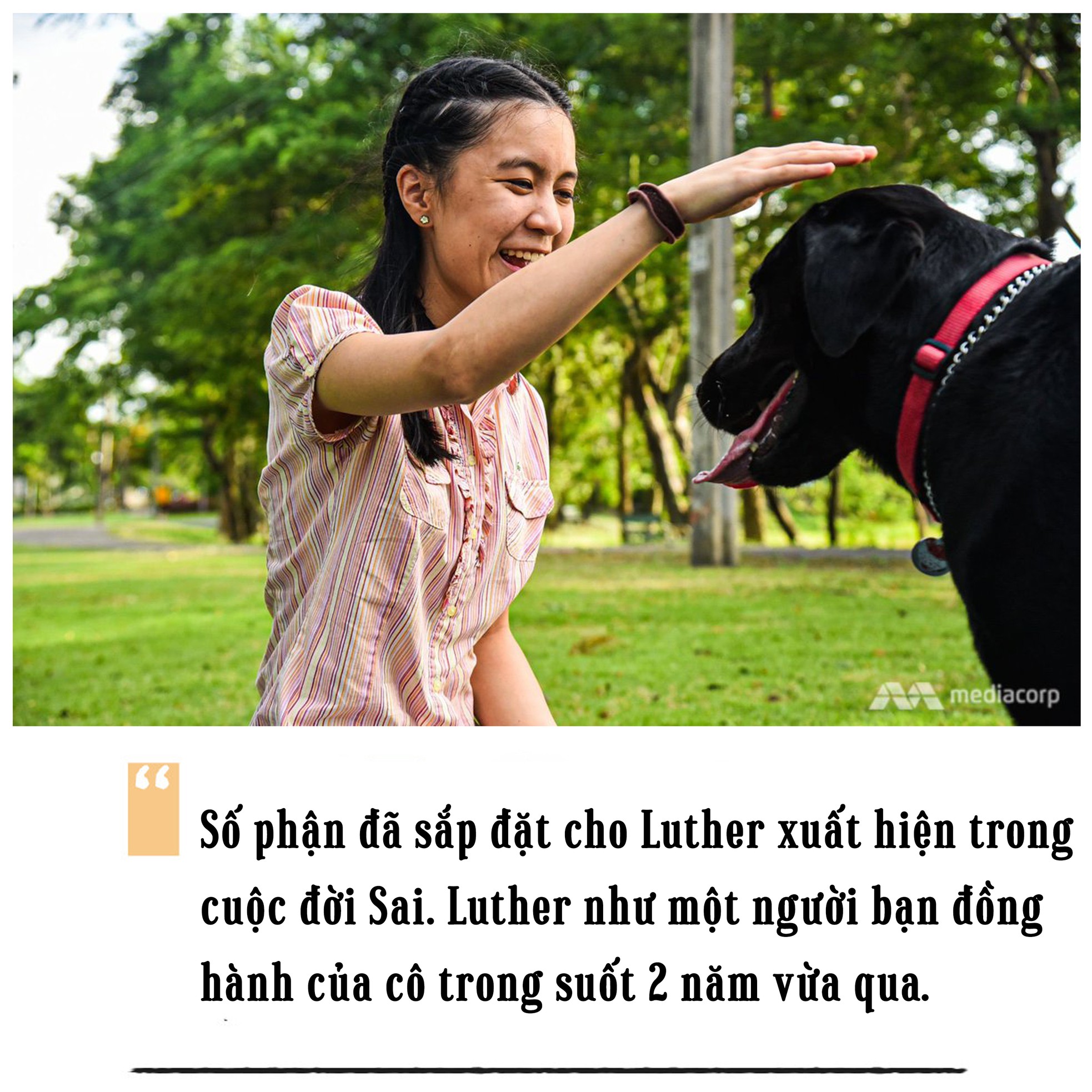 Cô chủ mù và chú chó dẫn đường ảnh 1