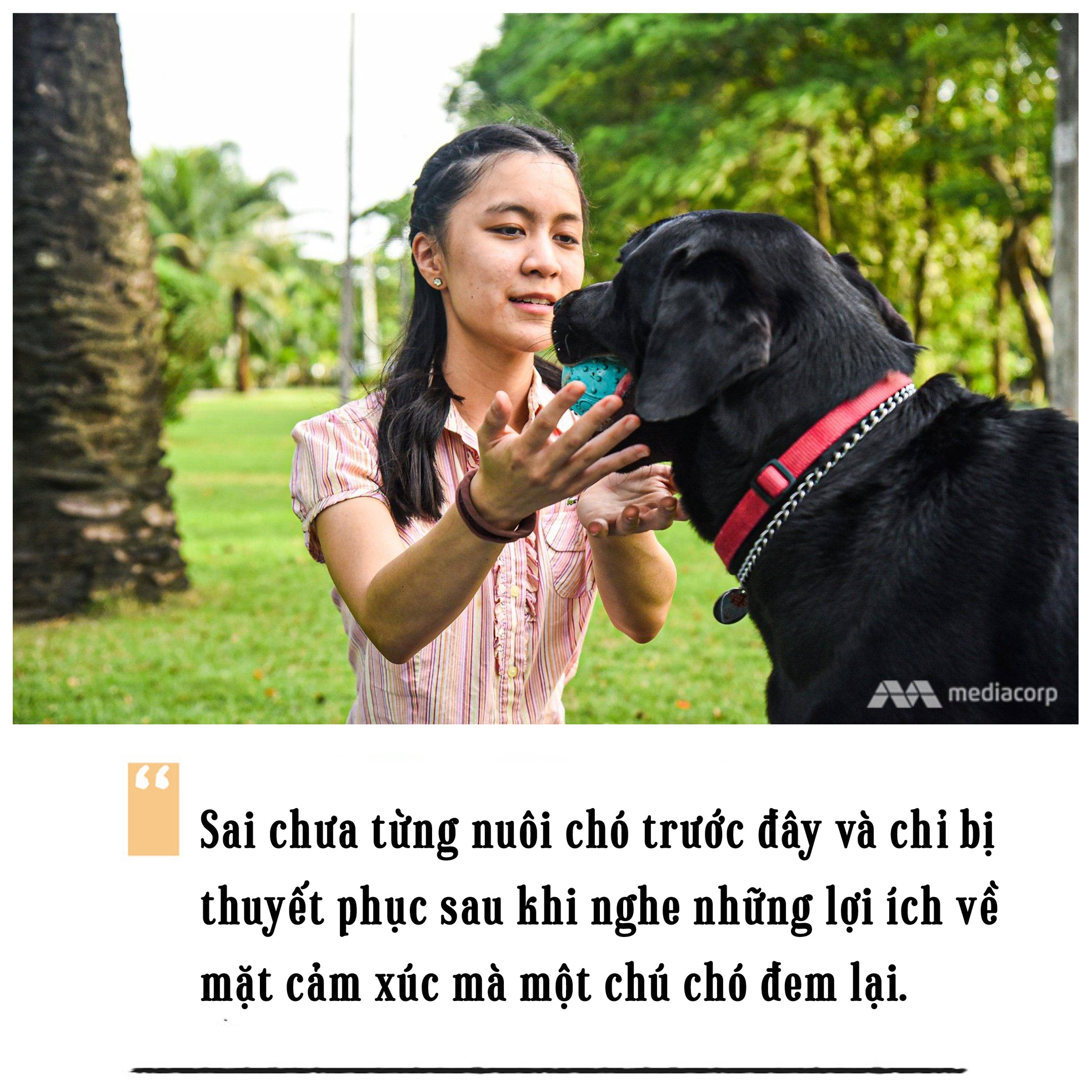 Cô chủ mù và chú chó dẫn đường ảnh 2