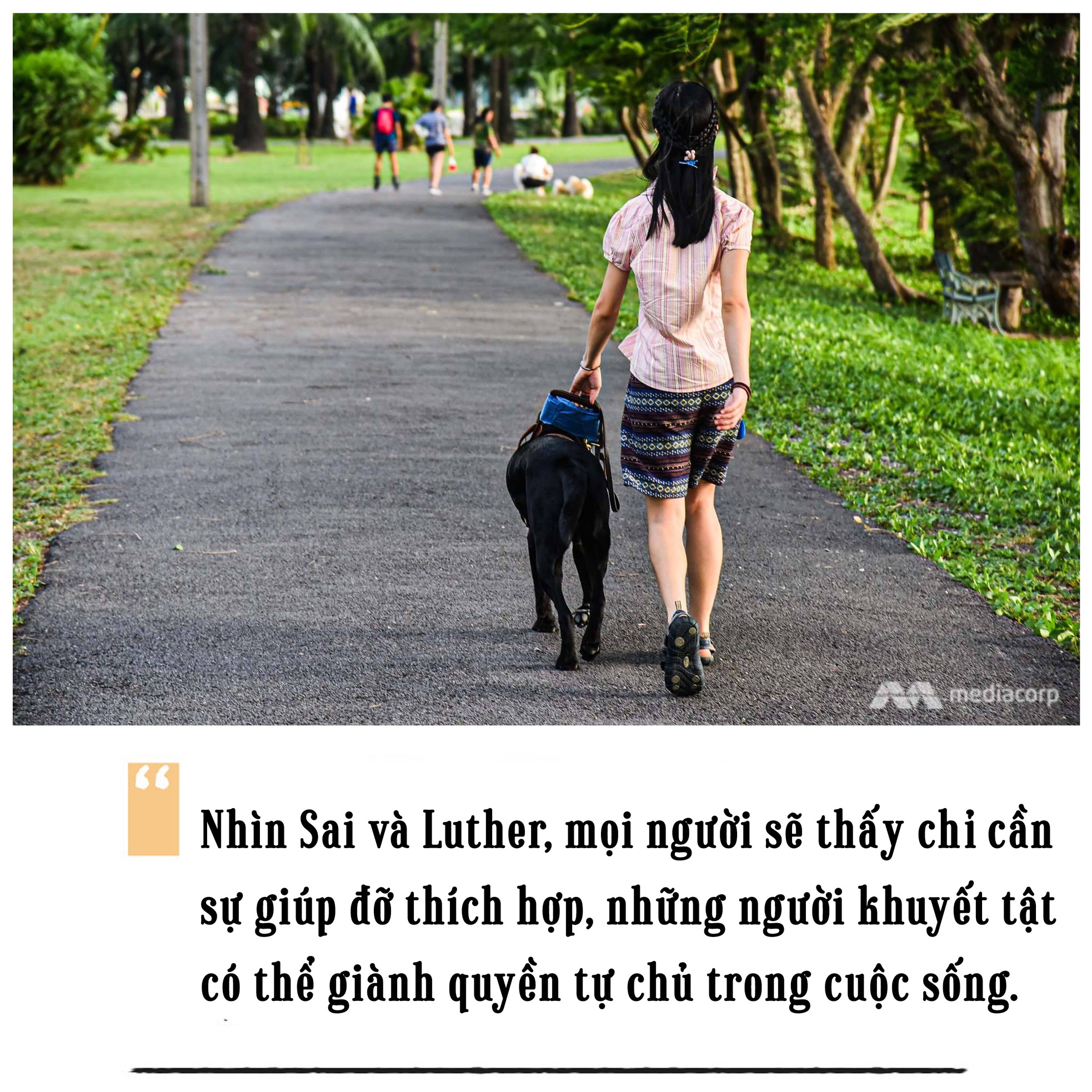 Cô chủ mù và chú chó dẫn đường ảnh 5