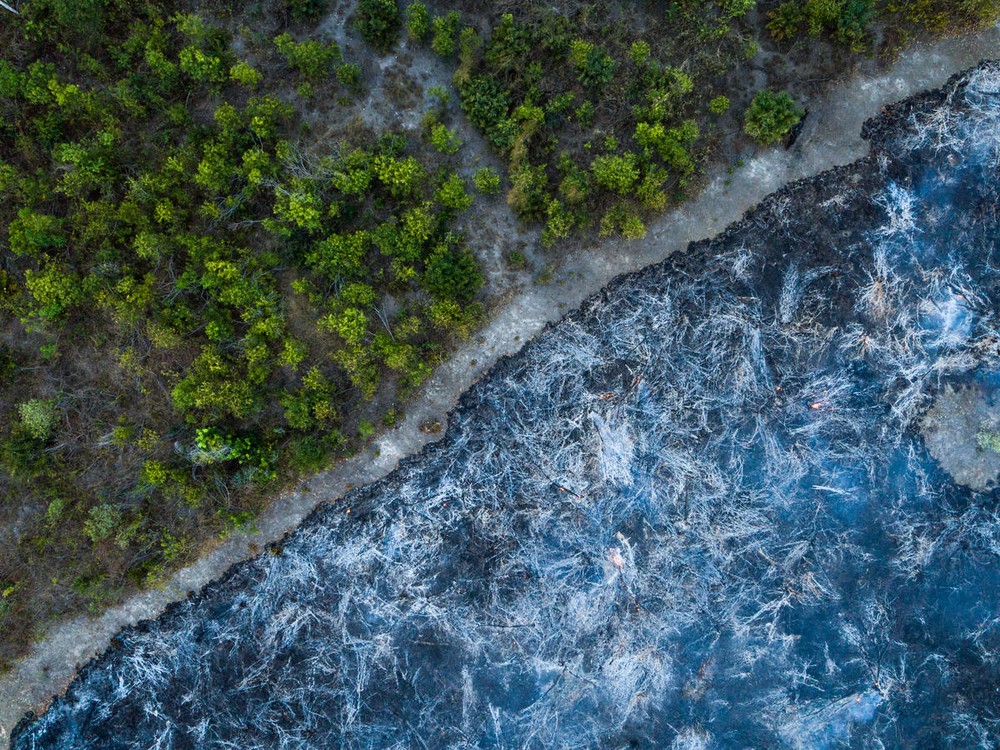 Cháy rừng Amazon và câu chuyện tập tục của nông dân ảnh 2