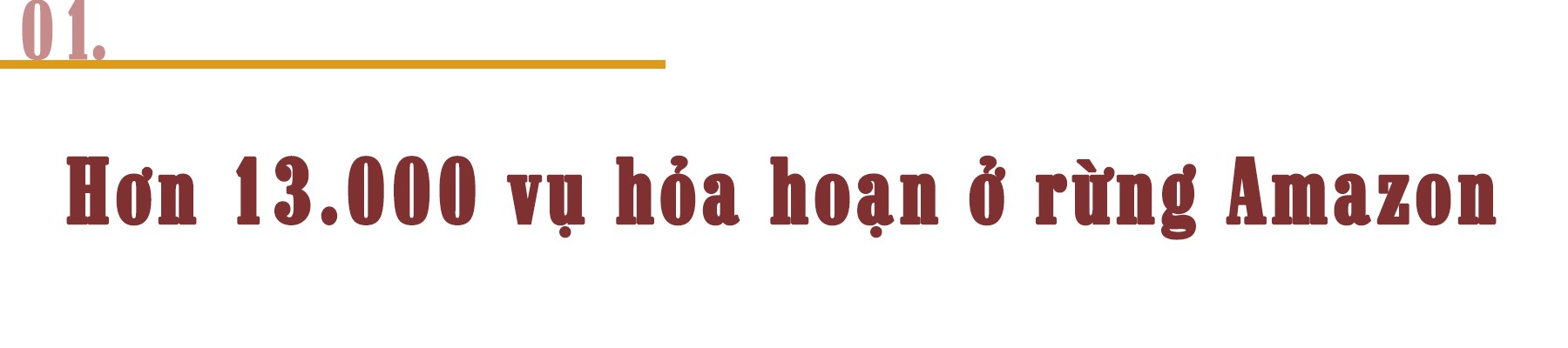 Cháy rừng Amazon và câu chuyện tập tục của nông dân ảnh 1