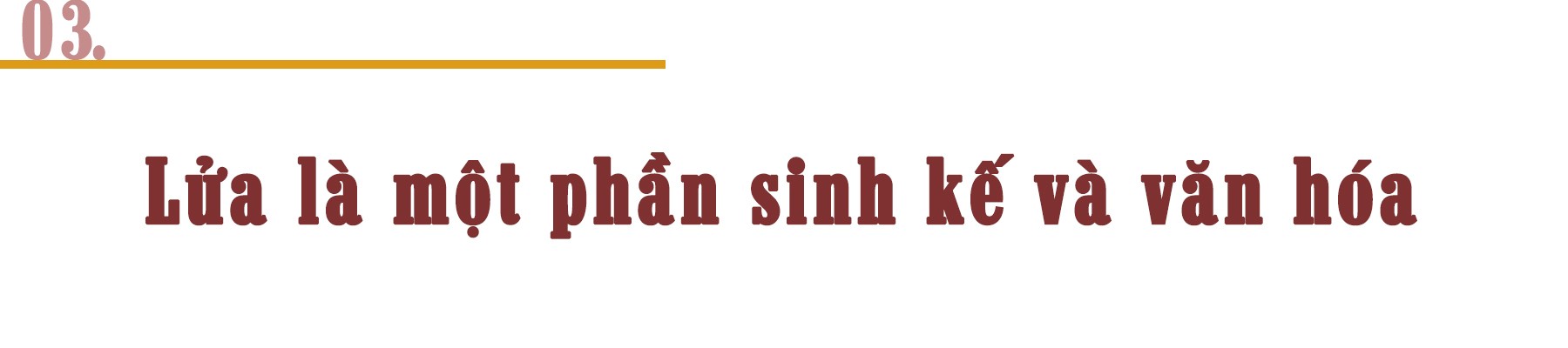 Cháy rừng Amazon và câu chuyện tập tục của nông dân ảnh 7