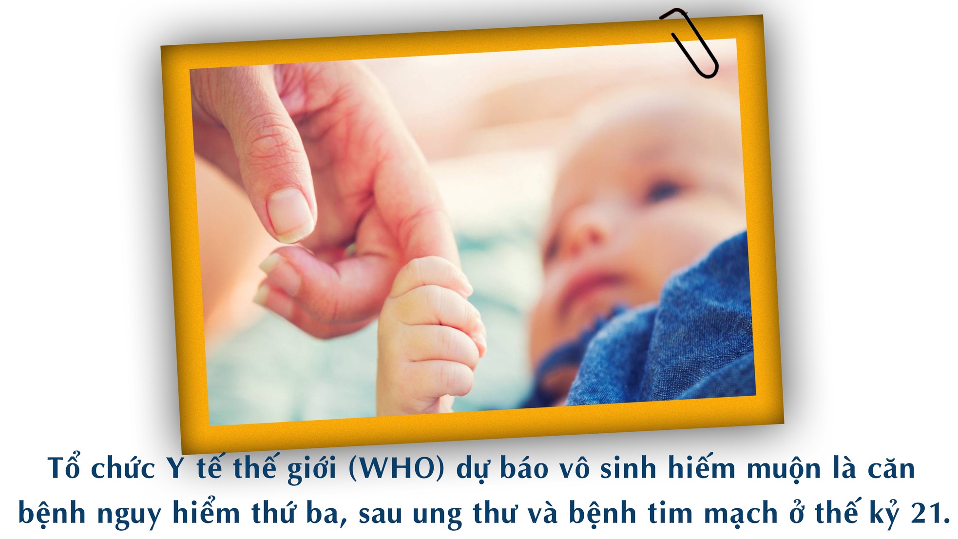 Hành trình 10 năm 'chữa đẻ' ảnh 6