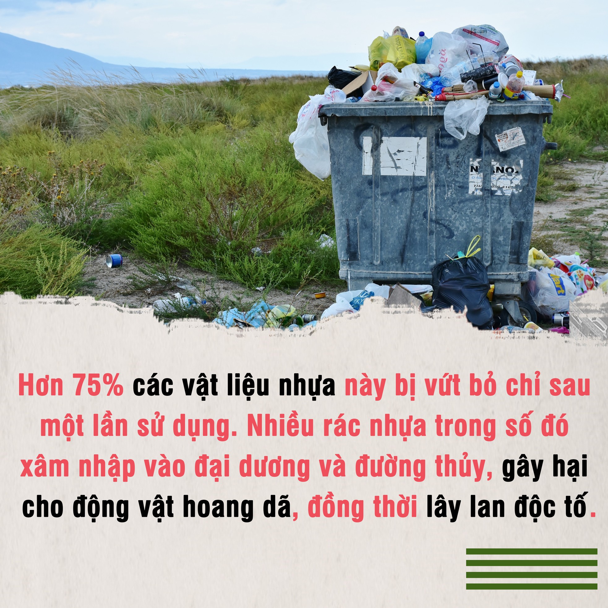 Cả thế giới chống lại rác thải nhựa ảnh 2